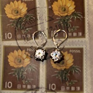 Silver and White Crystal Drop Earrings with Lever-Back Closure